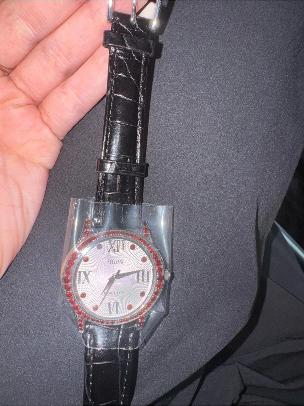 Ecclissi Facets Silver Watch Red Garnet Crystal Bezel Textured Dial Black Band